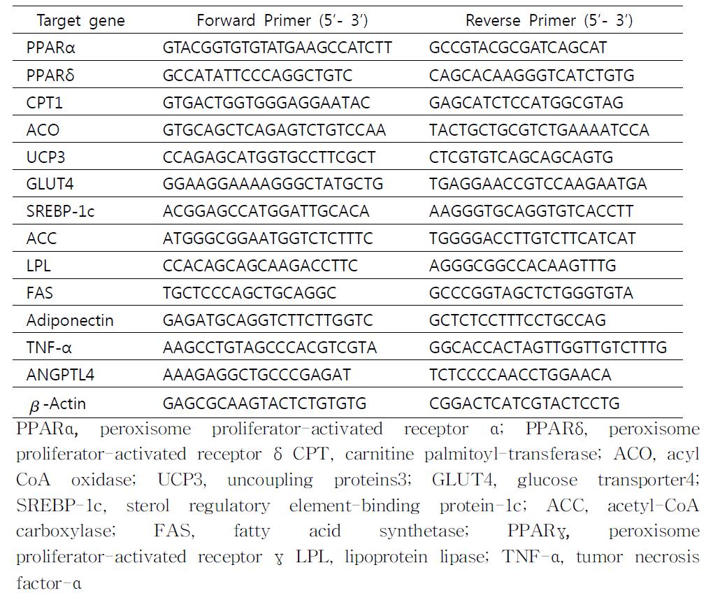 Primer sequences of mouse mRNA