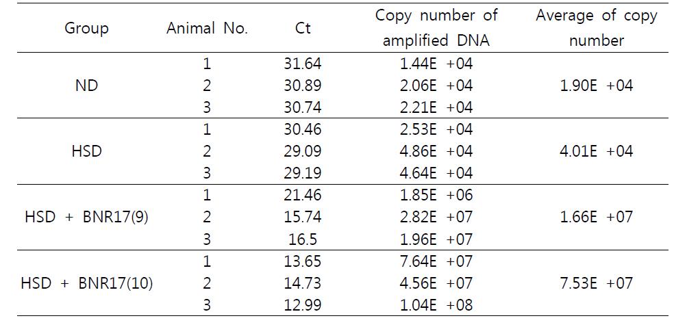 Lactobacilli detected from gut of mice adminstered with ND, HSD or HSD containing Lb.gasseri BNR17 (109 CFU or 1010 CFU) for 10 weeks by real-time PCR
