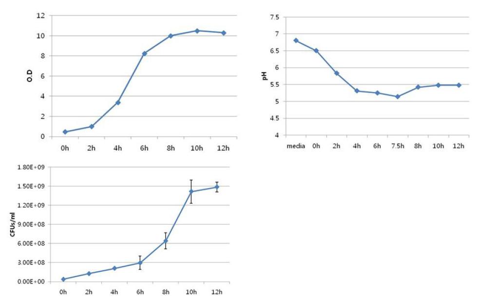 Growth curve (CFUs/ml, O.D, pH)
