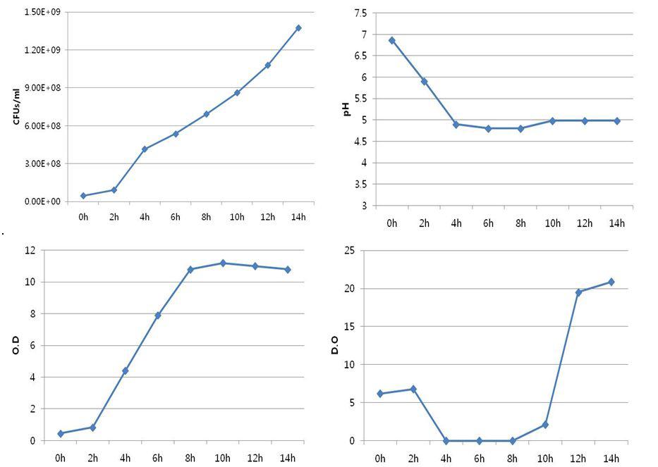 Growth curve (CFUs/ml, O.D,pH)