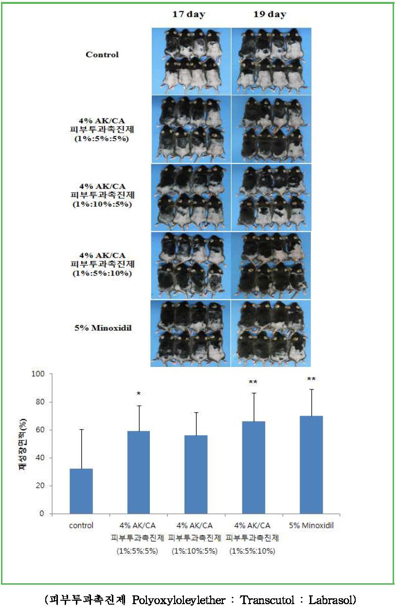 오가피(AK)와 문주란(CA) 추출물 복합제의 formulation에 따른 발모효능