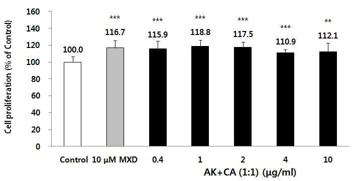 오가피(AK)와 문주란(CA) 추출물 복합제(1:1)의 dermal papilla cells 증식 효능