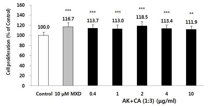 오가피(AK)와 문주란(CA) 추출물 복합제(1:3)의 dermal papilla cells 증식 효능