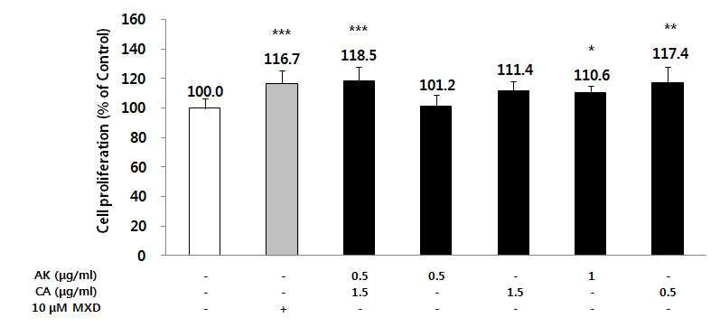 오가피(AK)와 문주란(CA) 복합제(1:3)과 개별추출물의 dermal papilla cells 증식 효능