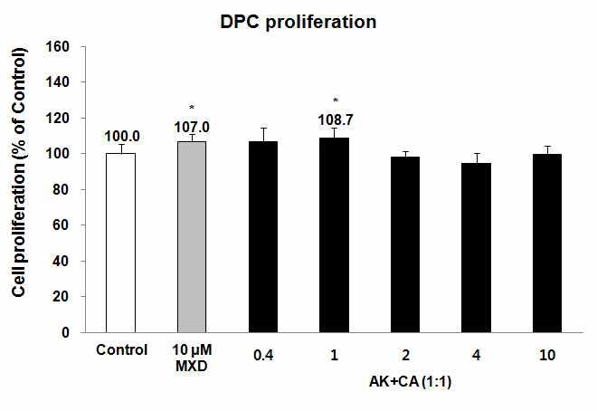 오가피(AK)와 문주란(CA) 추출물 복합제의 dermal papilla cells 증식 효능