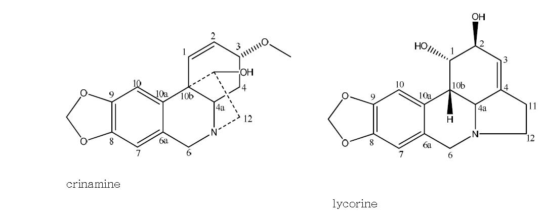 문주란의 지표성분 crinamine과 lycorine의 구조