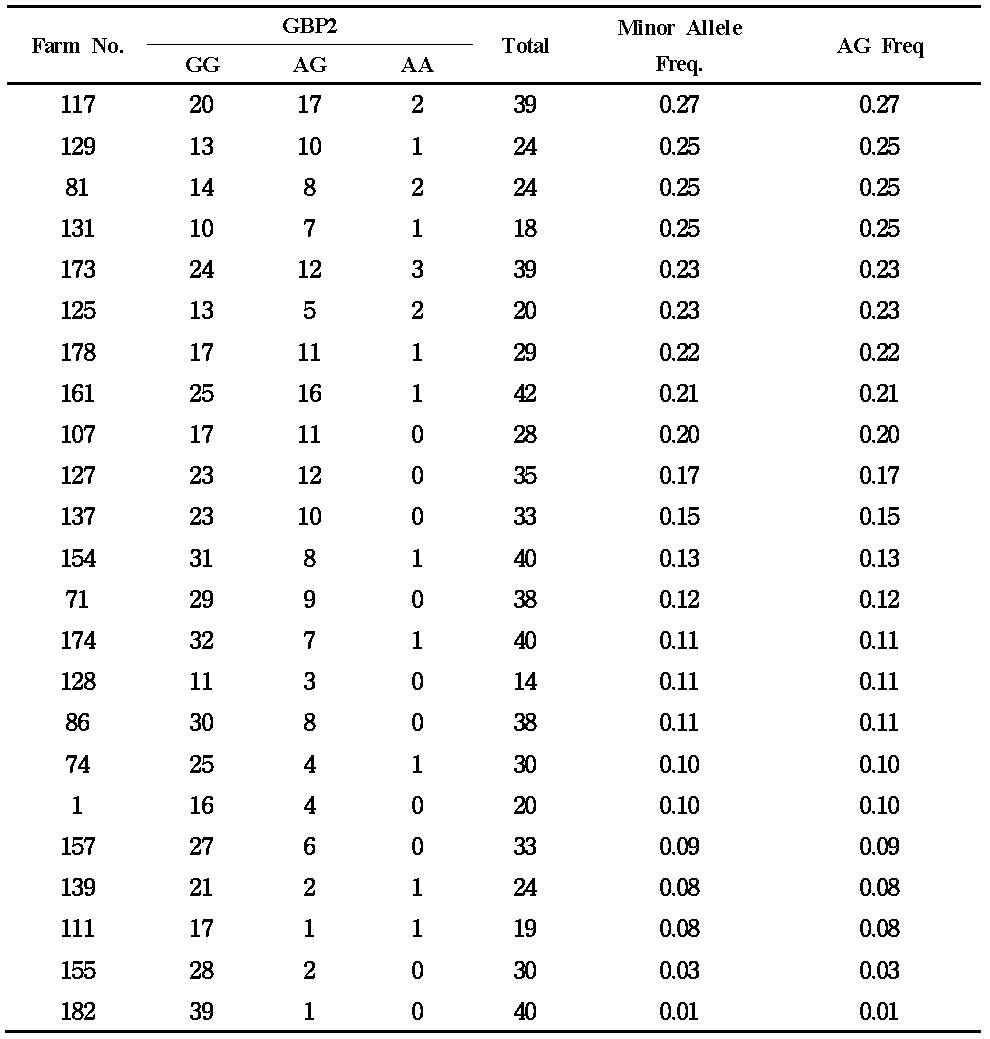 전국 22개 농장의 689 마리의 돼지들의 GBP2 유전자 typing