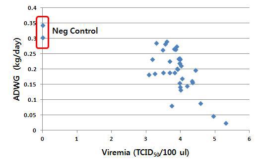 유전형 검사에 의해 선발된 돼지 40마리에 JA142를 접종한 후 4주 동안 혈중바이러스 농도(viremia)와 증체량(ADWG)의 상관관계