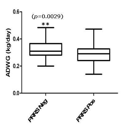 Average daily weight gains(ADWG) in pigs from B farm during 3-60 days after birth