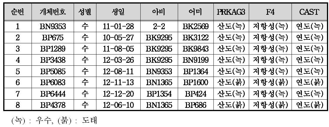 종모돈의 유전자 마커 분석 결과 및 현장적용