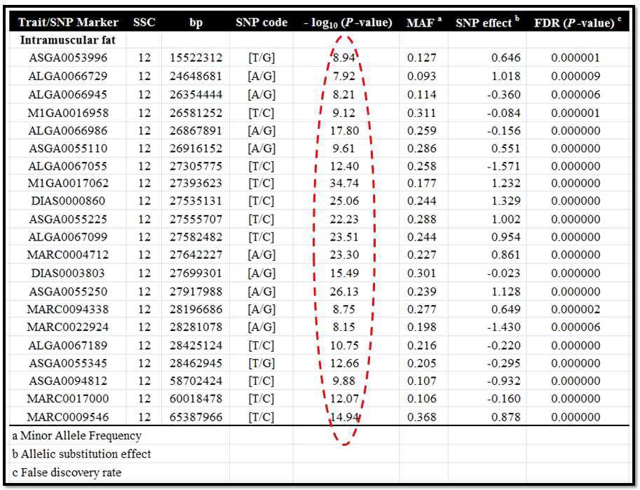 GWAS 분석을 통해 근내지방함량에 가장 유의적인 연관이 있는 SNP 마커