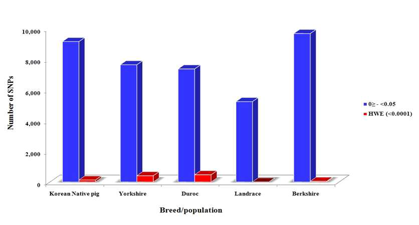 순종돼지 5품종집단에서 고정빈도를 나타내는 SNP 마커 출현빈도 및 하디와인버크 평형 분석