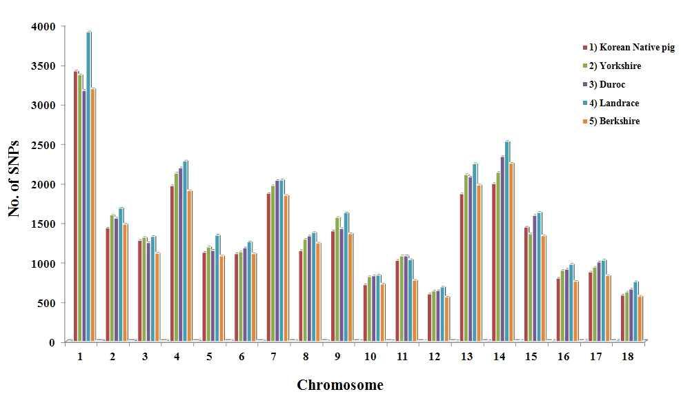 순종돼지 5품종집단에서 다형성수준에 따른 SNP 마커들의 염색체별 출현빈도