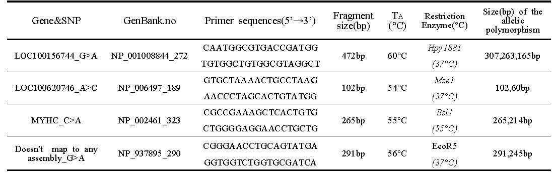 유전자형 분석을 통해 검증할 4개의 후보 SNP 마커들에 대한 PCR 프라이머 및 제한효소