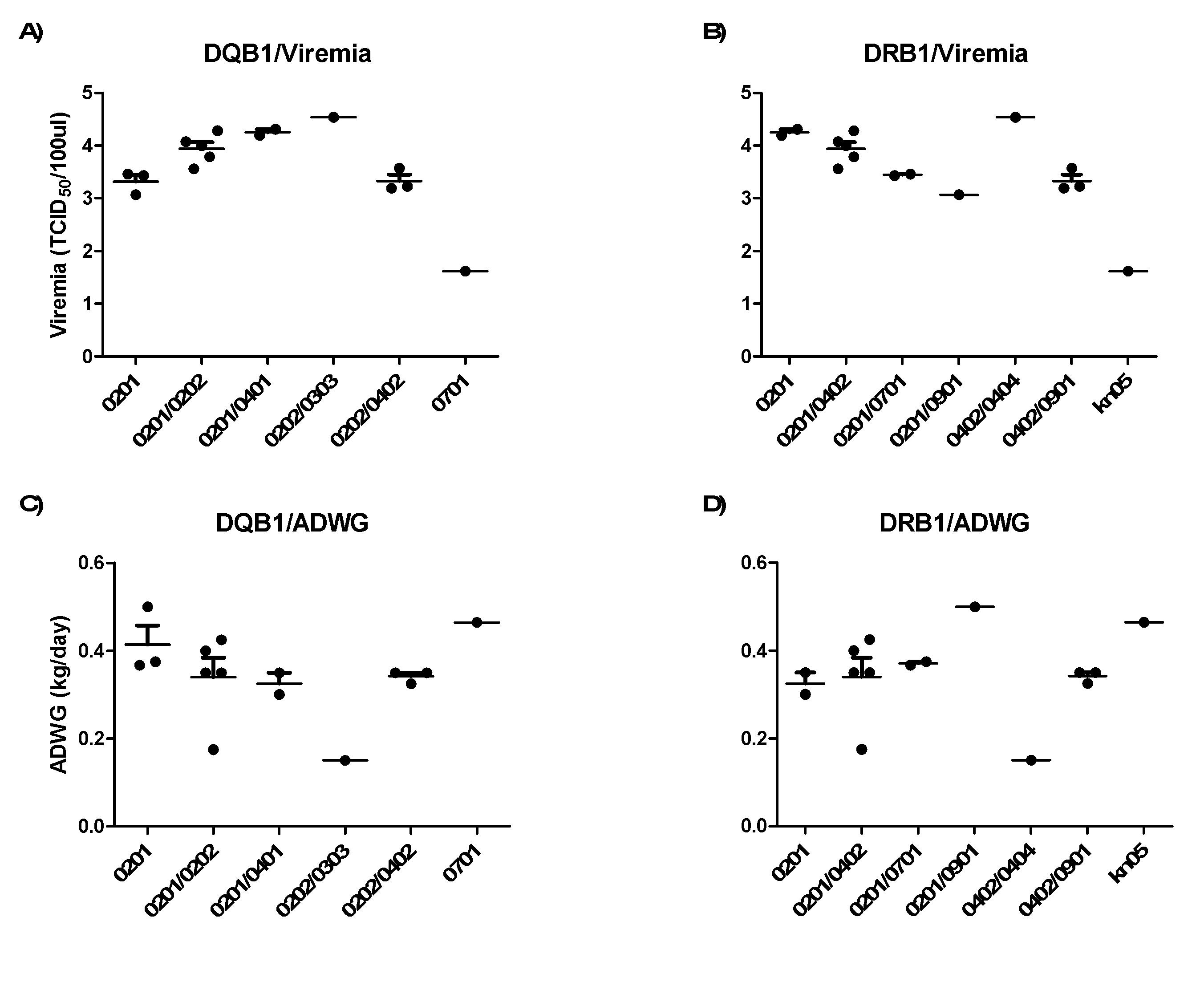 DQB1과 DRB1 유전자의 PRRSV 공격감염 후 viremia와 증체율과의 상관관계