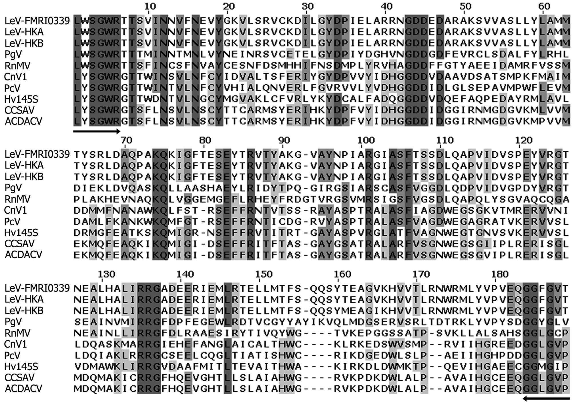 산조701의 버섯바이러스 LeV-FMRI0339의 부분 RNA-dependant RNA polymerase (RDRP) proteins과 다양한 곰팡이 바이러스들과의 alignment 분석