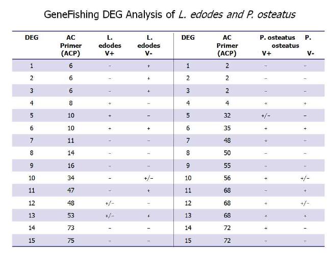 표고버섯과 느타리버섯의 genefishing 수행을 통해 분석된 DEG 분석표
