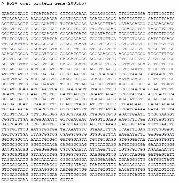 PoSV partial sequence