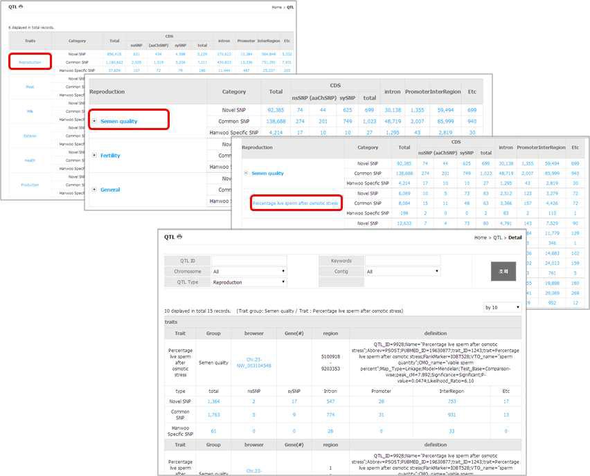 QTL과 SNPs의 연계 정보. 해당 형질에 관련된 SNPs 정보를 서열 단위까지 확인 할수 있으며 유전자내 위치 정보, 기능정보, 단백질의 아미노산 변이 정보, 한우 특이 SNPs와 같은 SNPs의 세부 정보를 확인 할수 있다.
