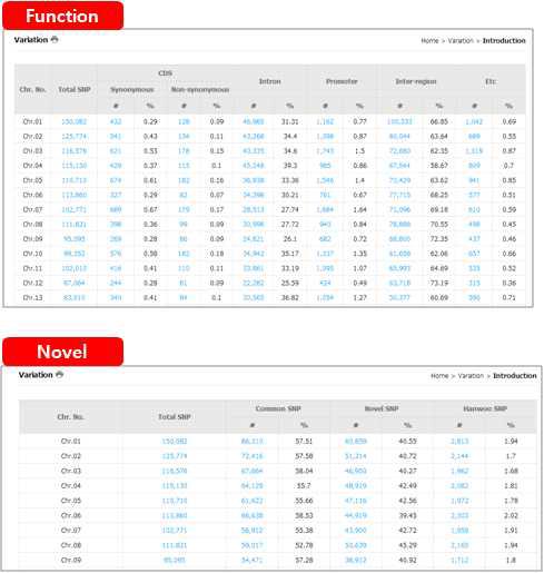 Variation category의 세부 2차 category. Function/Novel tab을 통해 각 chromosome내 SNPs의 분포 및 세부 카테고리별 분포 및 통계정보를 확인할 수 있다.