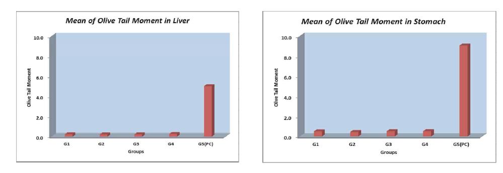 Mean of Olive Tail Moment in Liver and Stomach