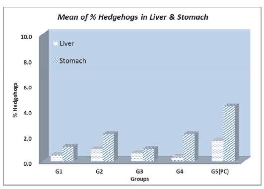 Mean of Hedgehogs in Liver and Stomach