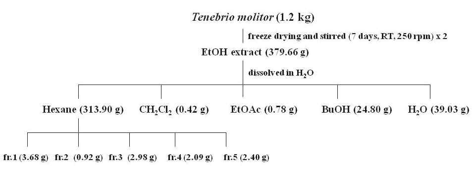 Extraction and fractionation of Tenebrio molitor