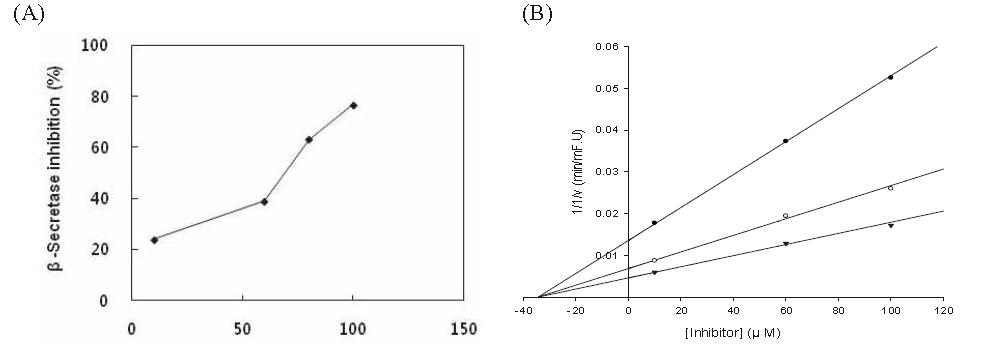 Concentration dependent inhibition of BACE1 activity by oleic acid (A), Dixon plot of oleic acid (B). Substrate concentration: -▼-; 750 nM, -○-; 500 nM, -●-; 250 nM