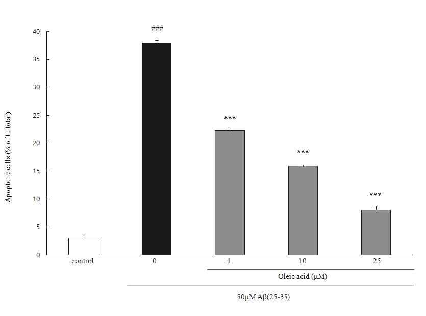 Inhibitory effects of oleic acid on Aβ(25-35)-induced apoptosis. PC12 cells were pretreated with oleic acid for 1hr and further treated with 50 μM of Aβ(25-35) for 24 hr. Morphological apoptosis was determined by Heochst 33342 staining under fluorescence microscopy (magnification ×400).