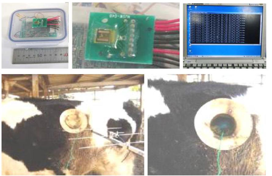 Electrical Conductivity Sensor 와 Temperature Sensor를 이용한 모니터링