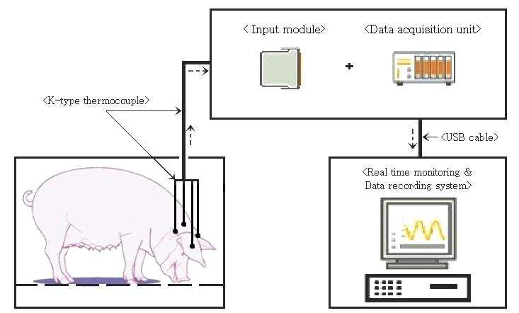 A schematic diagram of measurement system for pig body temperature