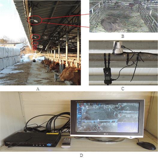Closed circuit camera, sound recorder and digital video recorder. A: closed circuit camera, B: an image of barn from closed circuit camera, C: real time recorder, D: digital video recorder monitoring system.