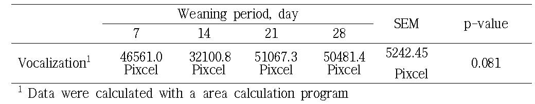Effect of different weaning period on the amount of daily vocalization for 7 days after weaning