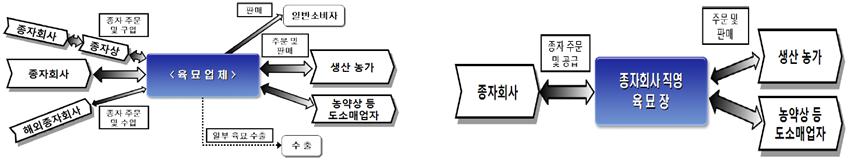 육묘업체 유통경로(좌), 종자회사 유통경로(우)