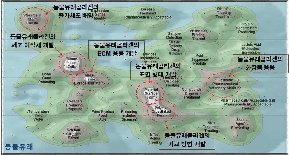 동물 유래 콜라겐 분야 특허 등고선