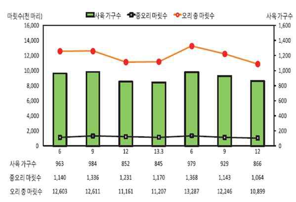 오리 사육 동향