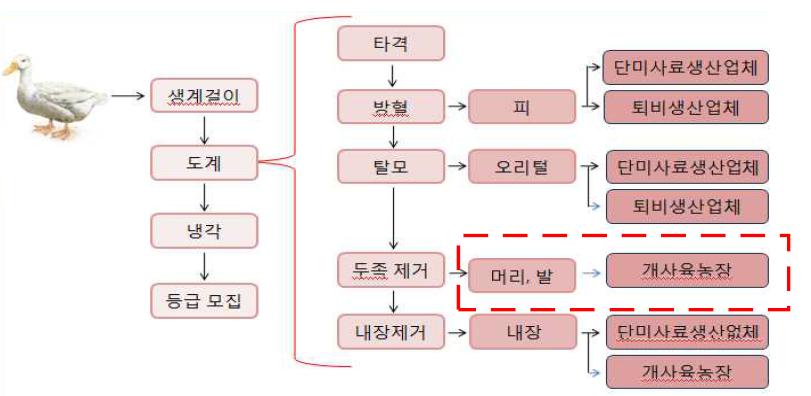 오리류 부산물 발생 및 처리과정