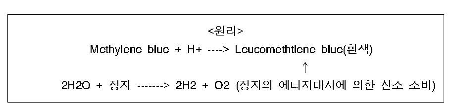 메틸렌 블루 염색기법을 활용한 정자의 활력 및 생존성 진단 원리