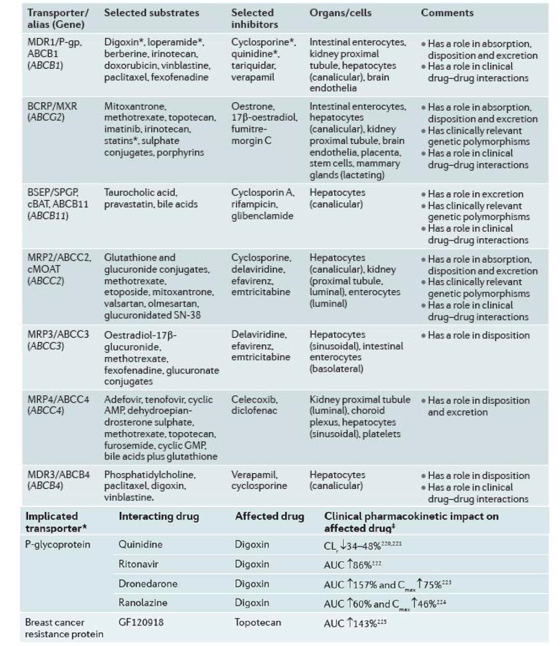 약물 흡수, 분포 (위) 및 약물 상호작용 (아래)에 중요한 역할을 하는 ABC 수송단백