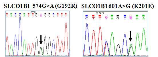 WES 분석을 통해 확보된 신규 아미노산 변이 유전자 SLCO1B1-G192R, -K201E의 capillary sequencing 결과
