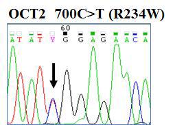 WES 분석을 통해 확보된 신규 아미노산 변이 유전자 OCT2-R234W의 capillary sequencing 분석결과
