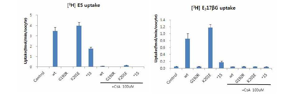 북방산 개구리 알세포 시스템을 이용한 OATP1B1 유전자의 야생형과 신규 변이형 OATP1B1-G192R 와 OATP1B1-K201E 대한 대표기질의 수송활성 평가