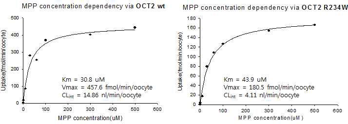 OCT2 유전자의 야생형과 신규 변이형 OCT2-R234W 대한 MPP 농도의존적의 수송활성 평가