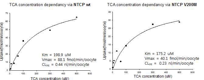 NTCP 유전자의 야생형과 신규 변이형 NTCP-V200M 에 대한 Taurocholic acid 농도의존적의 수송활성 평가