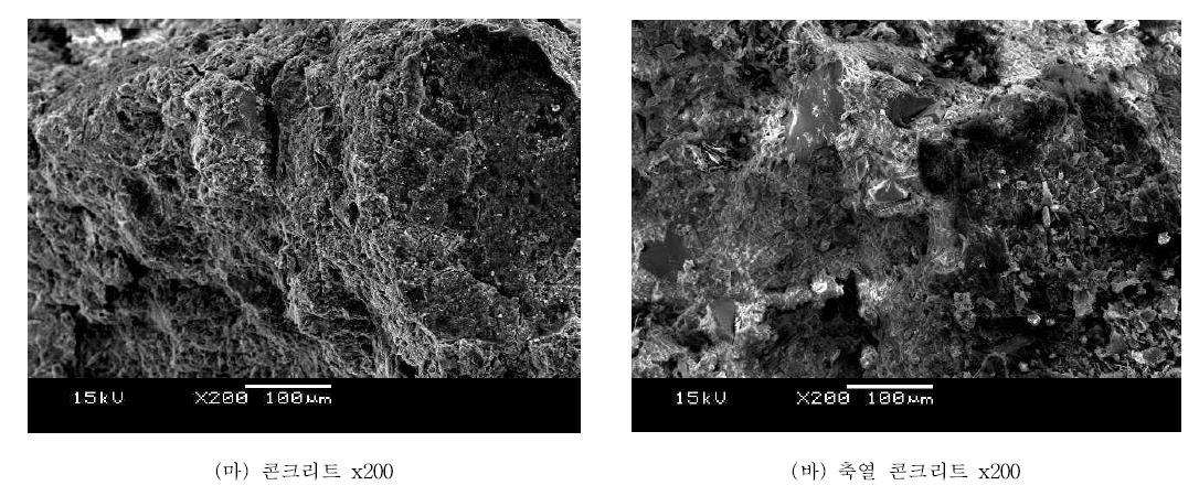 콘크리트와 SSPCM 혼합 콘크리트의 미세구조 분석