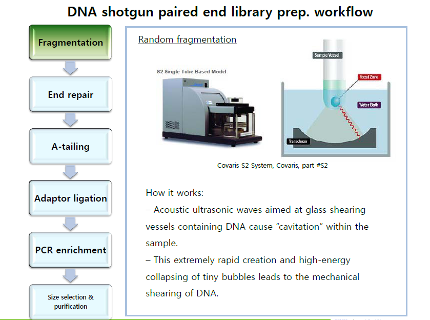 Covaris를 이용한 genomic DNA random shearing