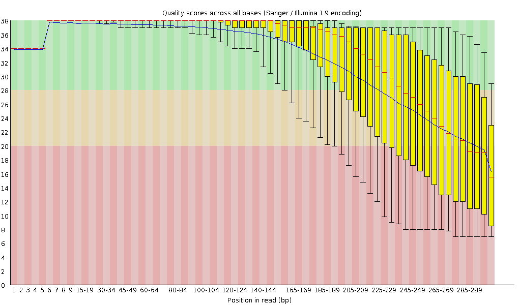 JS626 read1의 QC 이미지 (MiSeq)