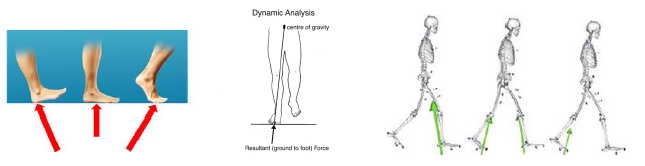 보행시 발과 지면과의 상호작용