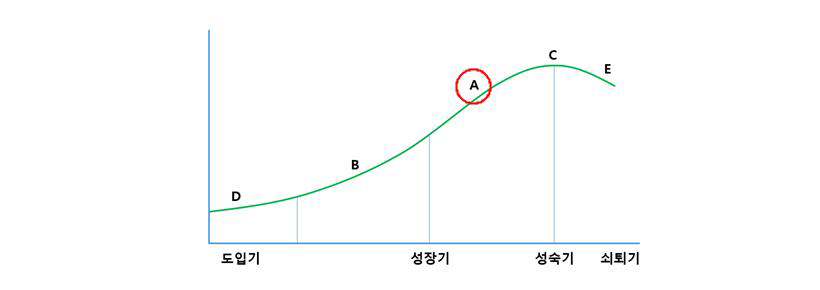 신청기술의 기술수명주기상 위치