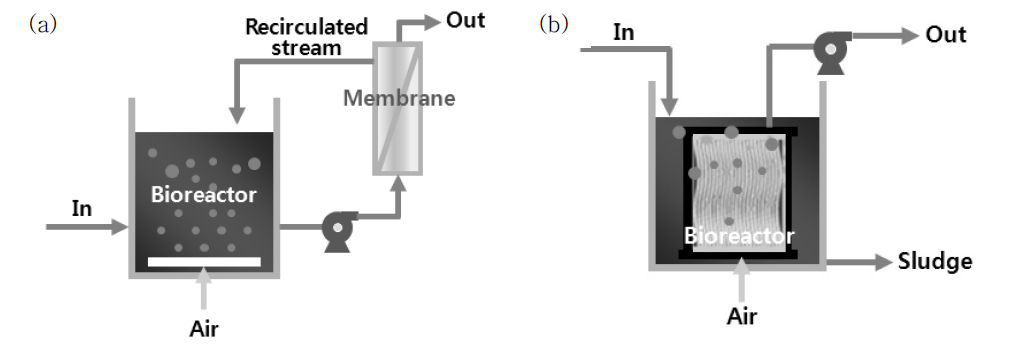 MBR 반응조의 주요 형태: (a) site stream MBR, (b) submerged MBR